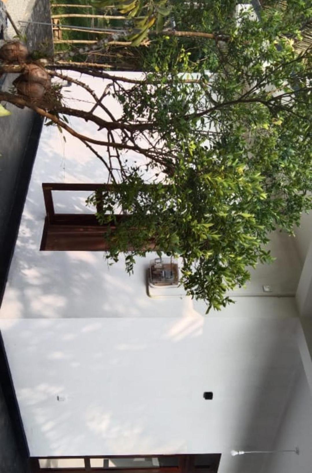 Villa Elegant - Weligama Esterno foto